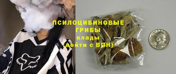mdpv Горнозаводск