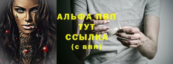 ПСИЛОЦИБИНОВЫЕ ГРИБЫ Горно-Алтайск