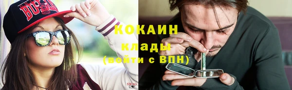 ПСИЛОЦИБИНОВЫЕ ГРИБЫ Горно-Алтайск
