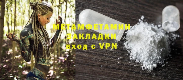 ПСИЛОЦИБИНОВЫЕ ГРИБЫ Горно-Алтайск