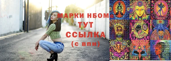 ПСИЛОЦИБИНОВЫЕ ГРИБЫ Горно-Алтайск