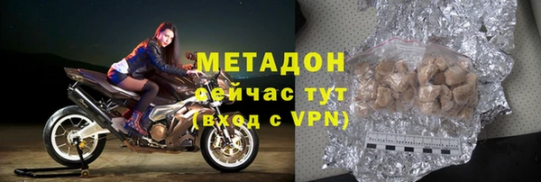 индика Вяземский