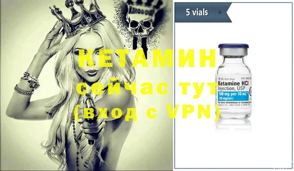 ПСИЛОЦИБИНОВЫЕ ГРИБЫ Горно-Алтайск