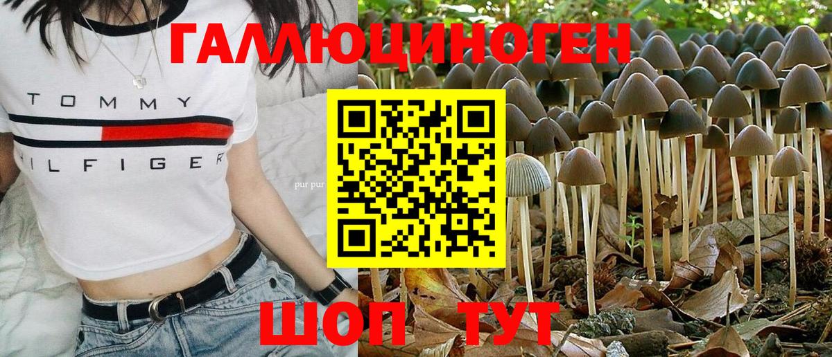 Псилоцибиновые грибы MAGIC MUSHROOMS  Вход с VPN  Грязи 