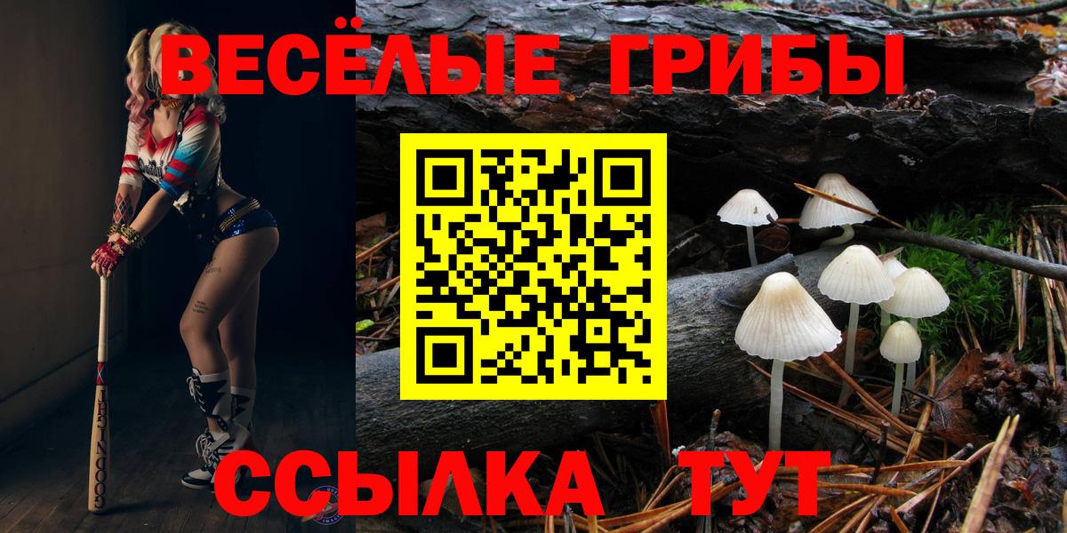 Галлюциногенные грибы Cubensis  купить наркотик  Грязи 