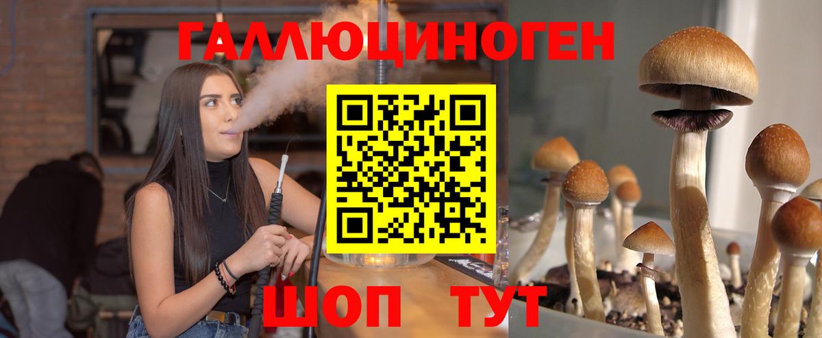 Псилоцибиновые грибы прущие грибы Грязи